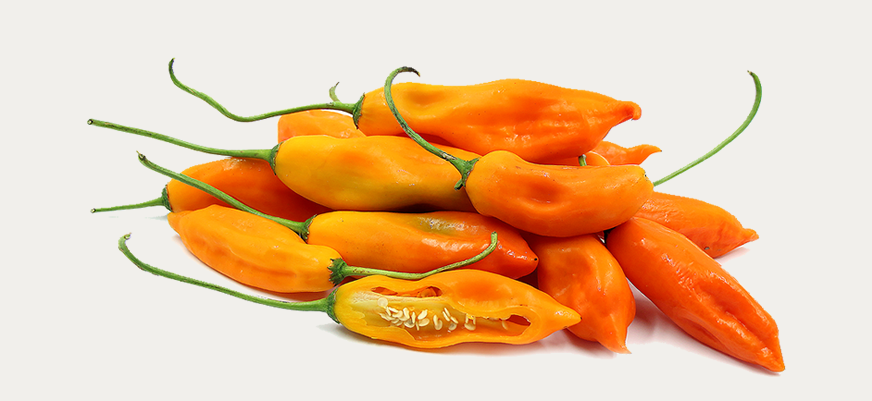 Ají amarillo Kilo