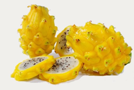 pitahaya